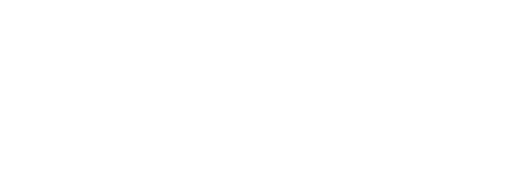 Paige For Congress
