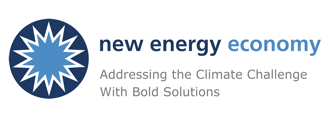 New Energy Economy