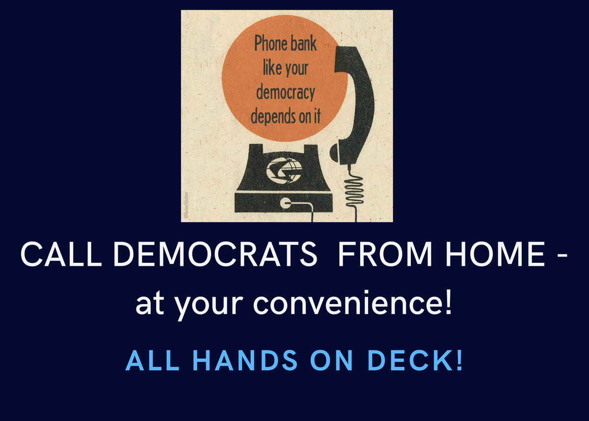 GET OUT THE VOTE - PHONE BANK from HOME
