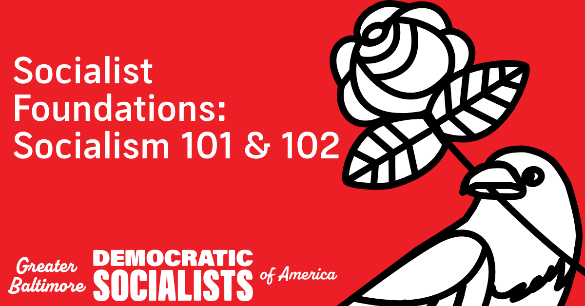 Virtual Class: Socialism 101 & 102