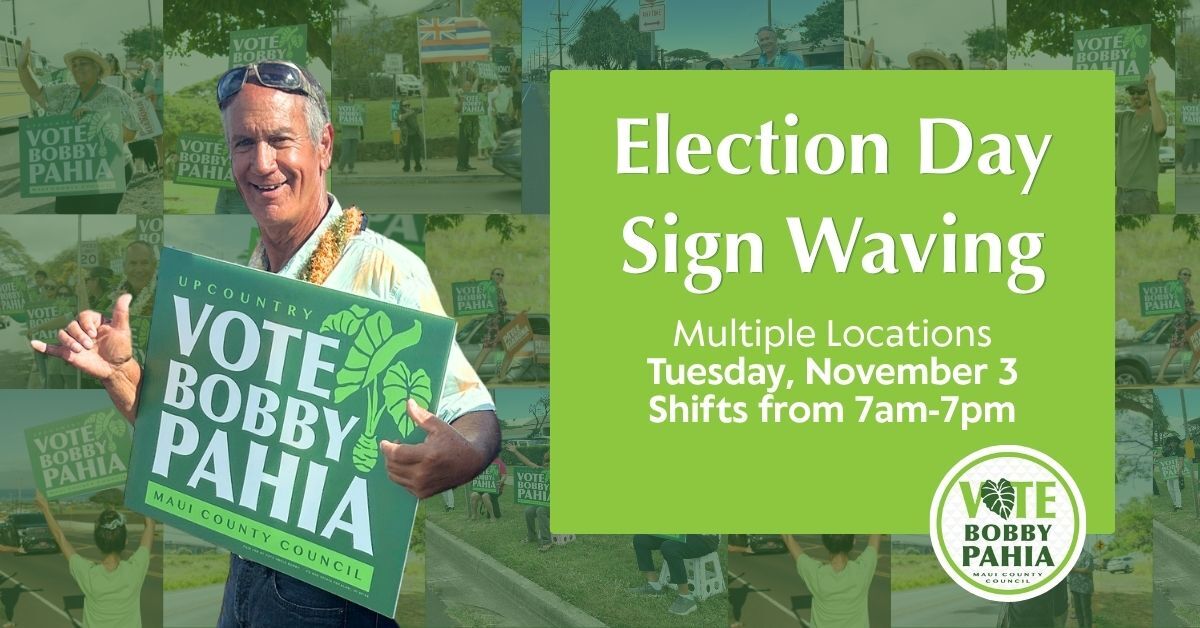 Election Day Signwaving