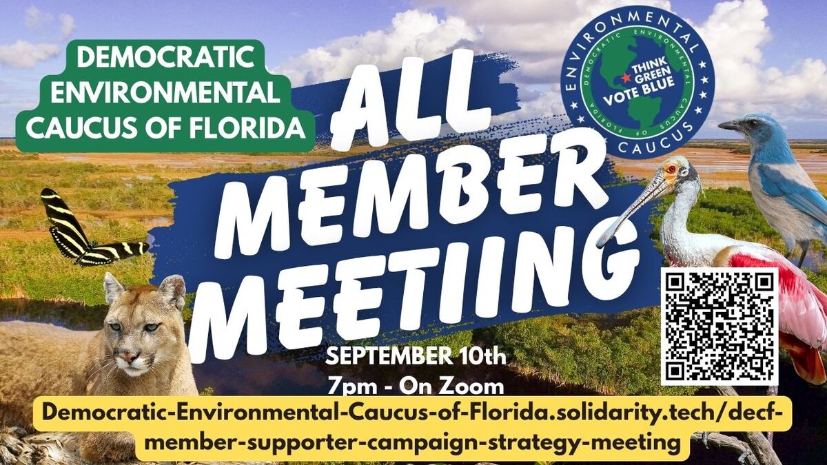 DECF Member/Supporter Campaign Strategy Meeting