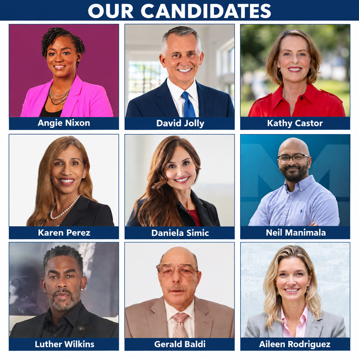 South Shore Democrats All-Candidate Canvass