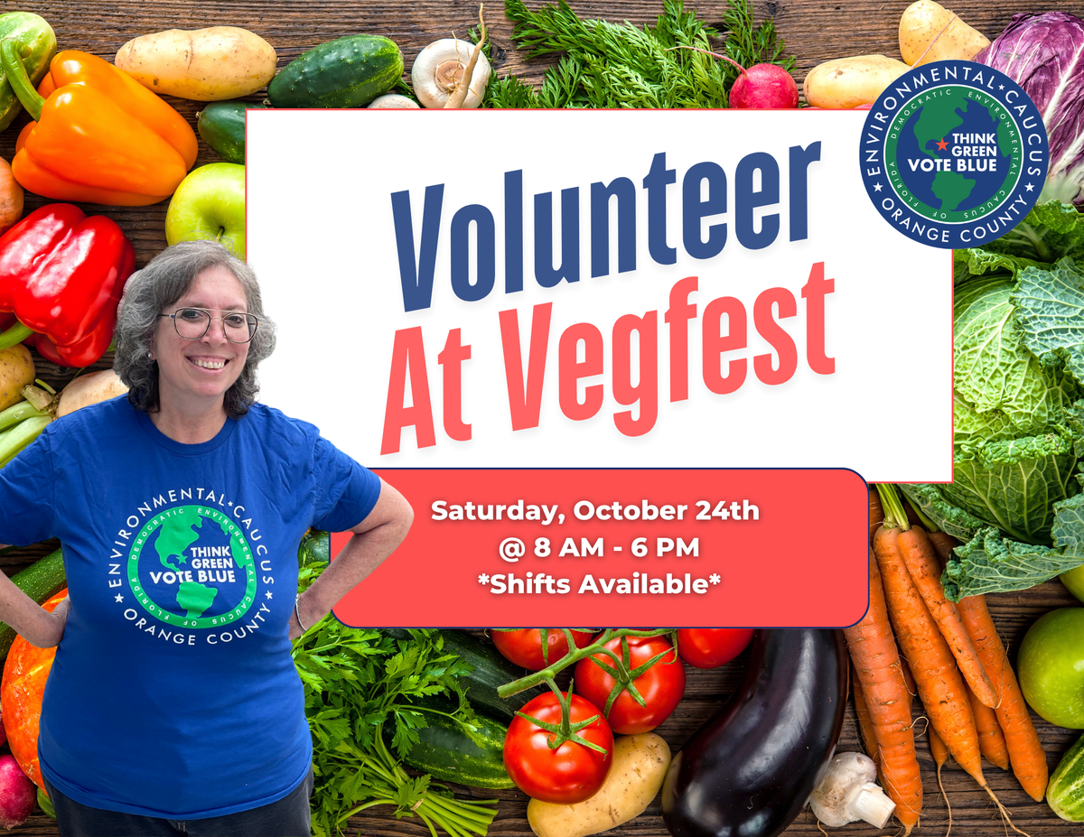 Volunteer at Veg Fest!