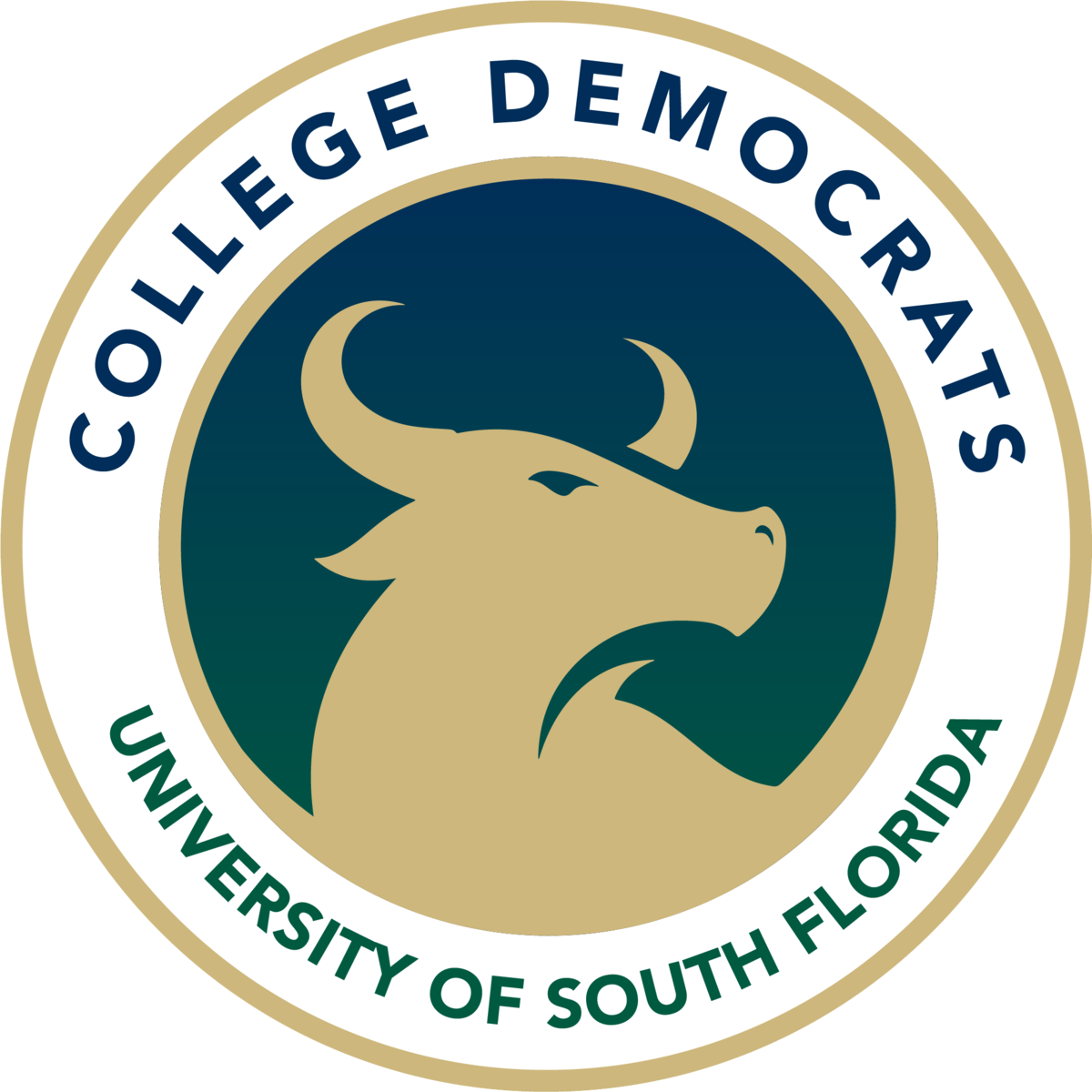 Canvass USF - P562