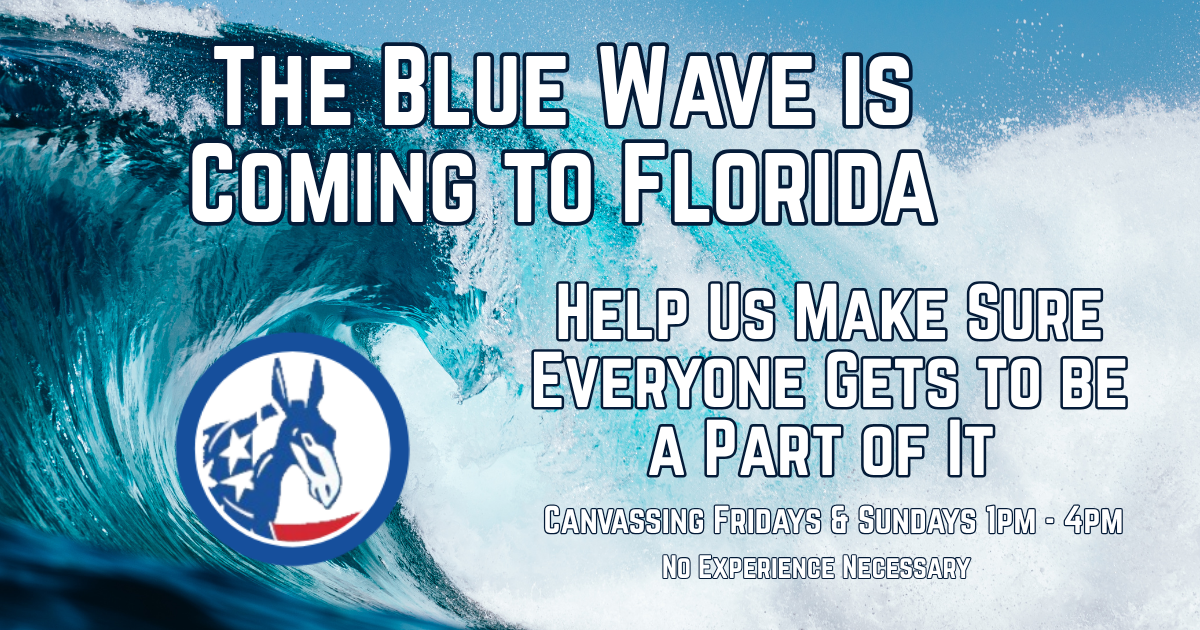 Canvassing for the Blue Wave
