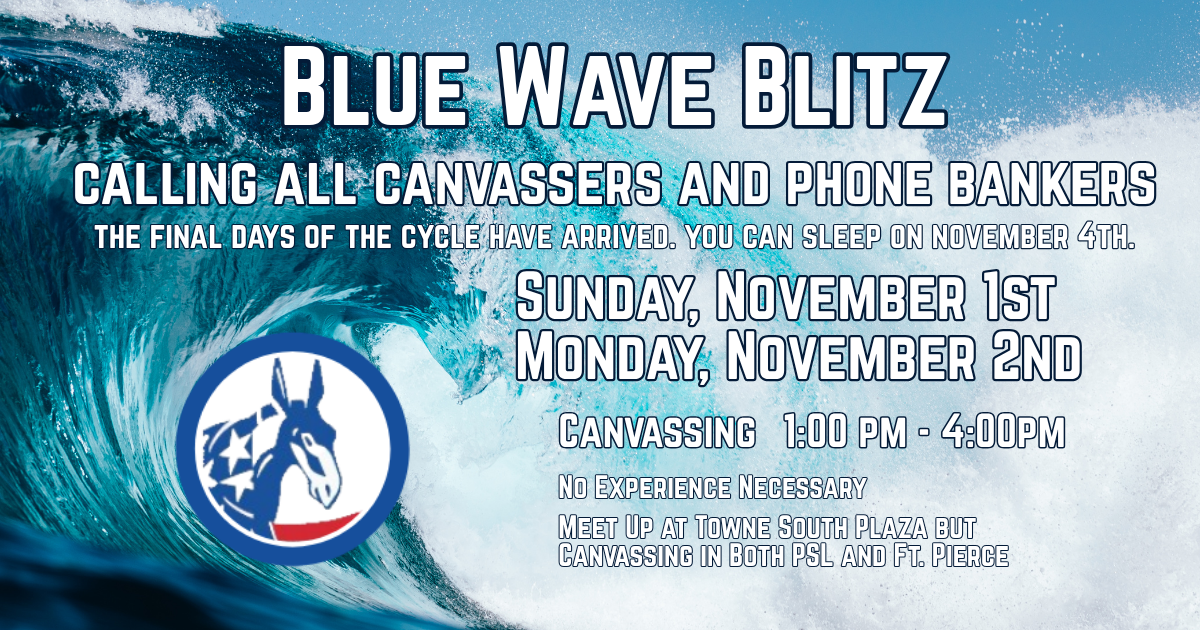 Blue Wave Blitz Canvassing