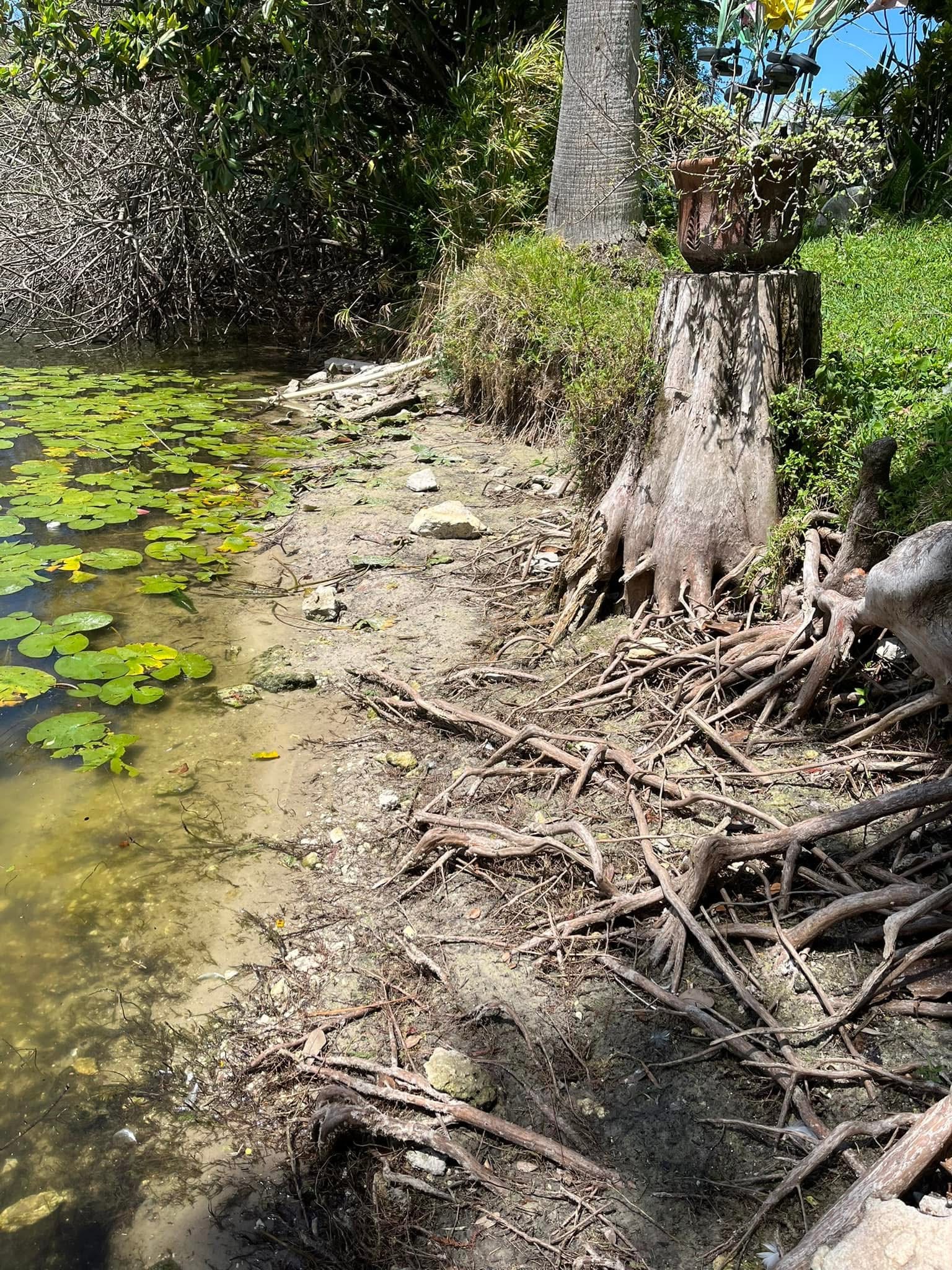 Drought 2023 in Holiday, Pasco County