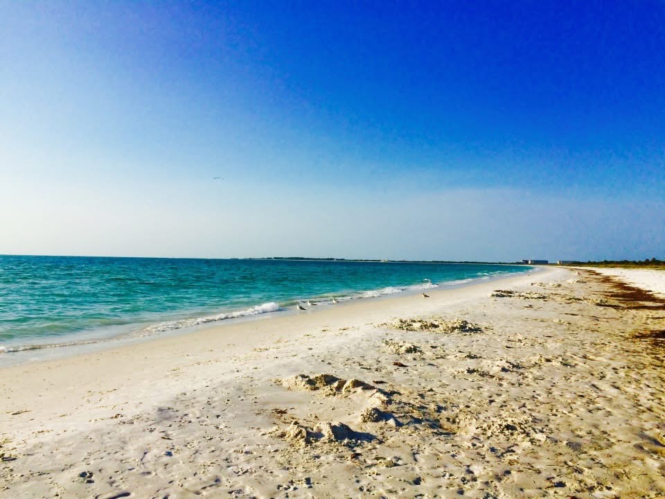 Honeymoon Island State Park