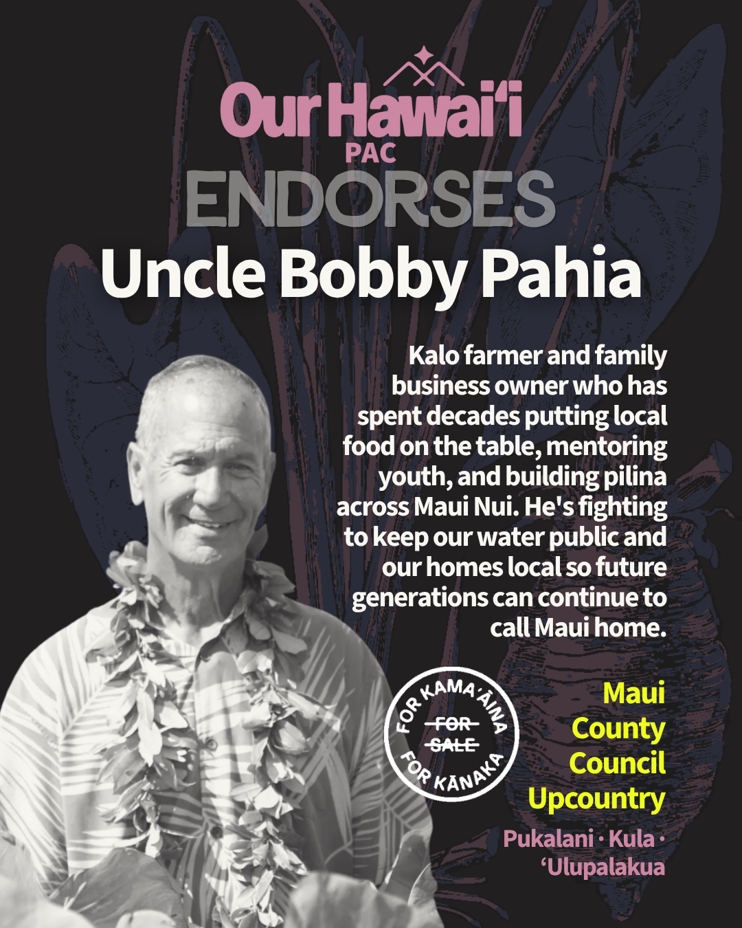 Our Hawaiʻi PAC endorses Uncle Bobby Pahia for Maui County Council, Upcountry (Pukalani, Kula, ʻUlupalakua). Kalo farmer and family business owner who has spent decades putting local food on the table, mentoring youth, and building pilina across Maui Nui. He's fighting to keep our water public and our homes local so future generations can continue to call Maui home. Photo: Uncle Bobby smiling in a lei, with kalo leaves in the background.