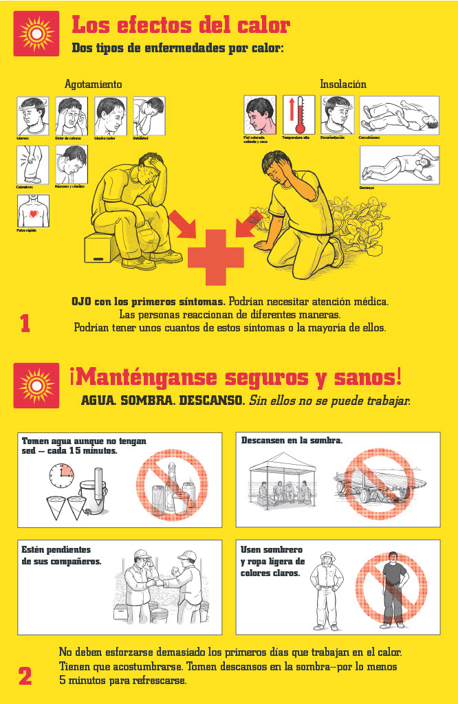 <p class="">Heat Safety Poster- Spanish</p>