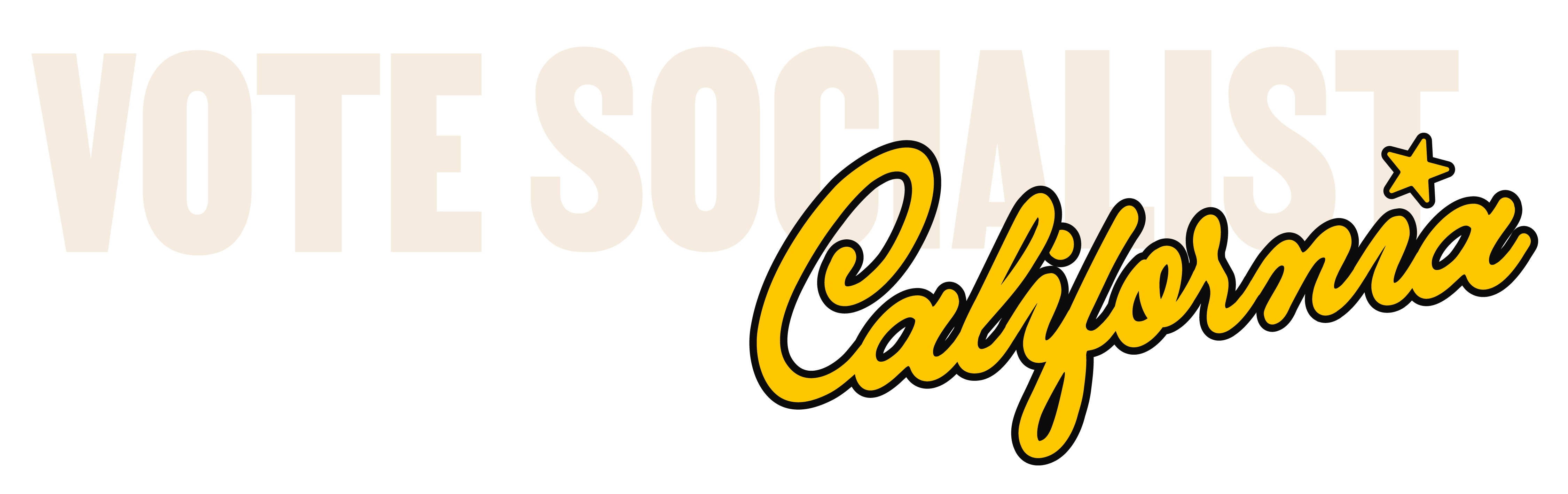 Vote Socialist California