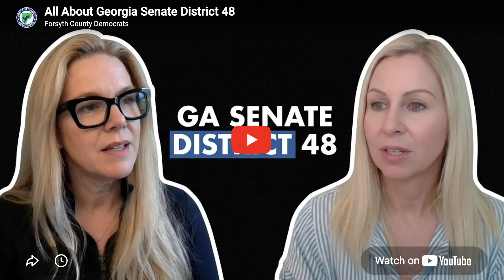 <h3><span style="color: var(--bg3)"><strong>All About Georgia Senate District 48</strong></span></h3>