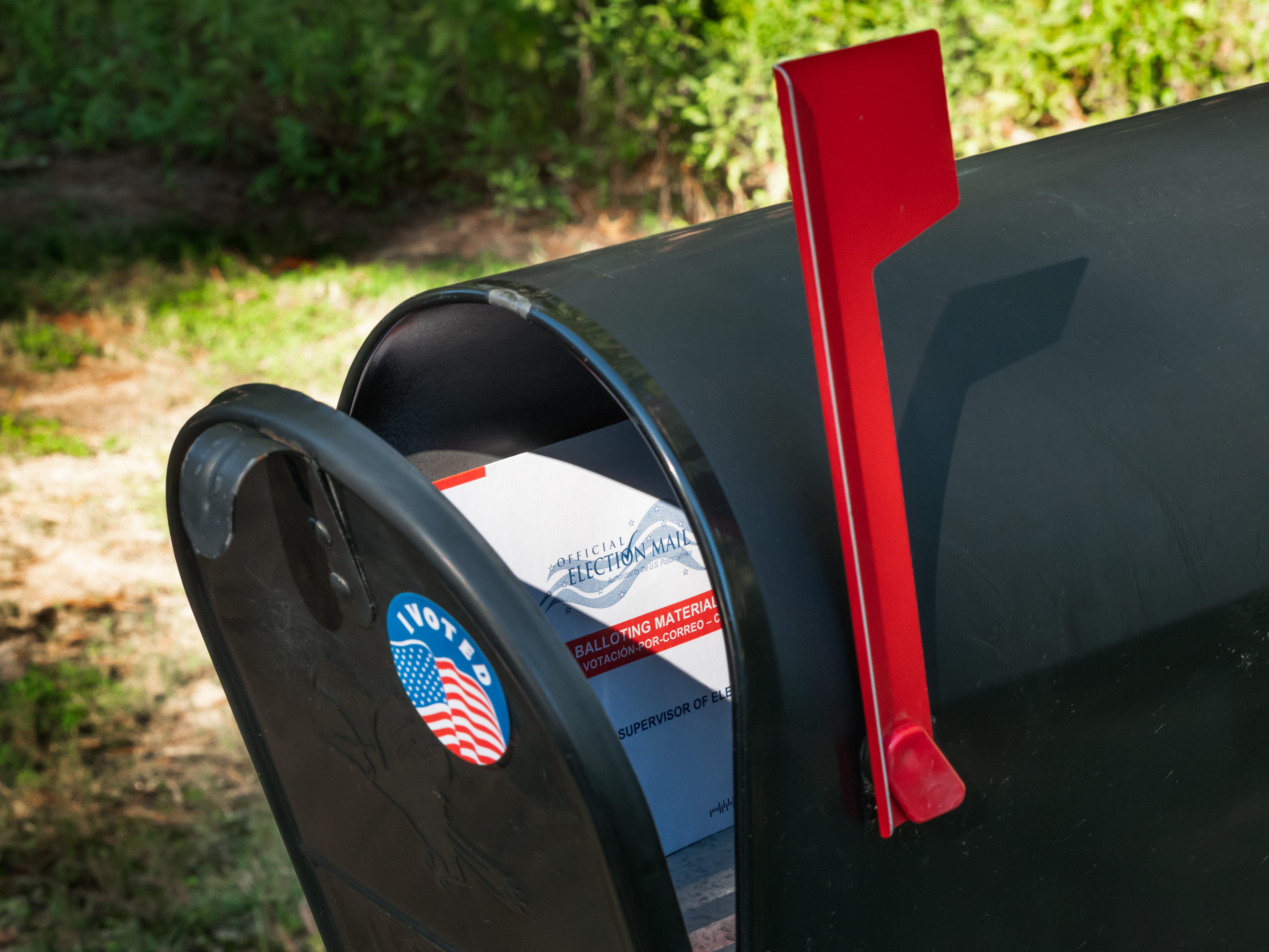 <p class="">Absentee voting</p>
