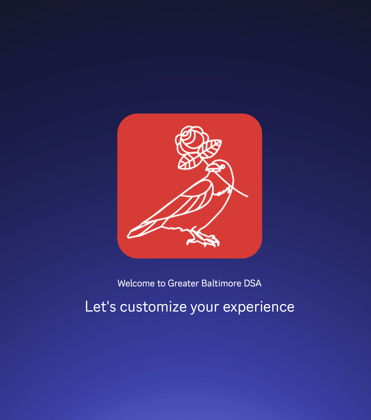 Discord Guide