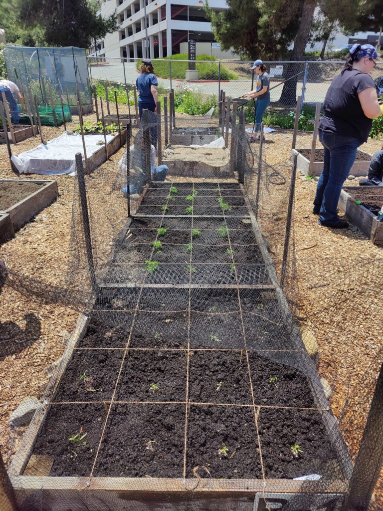 DSA San Diego Garden Workday - May 13, 2023