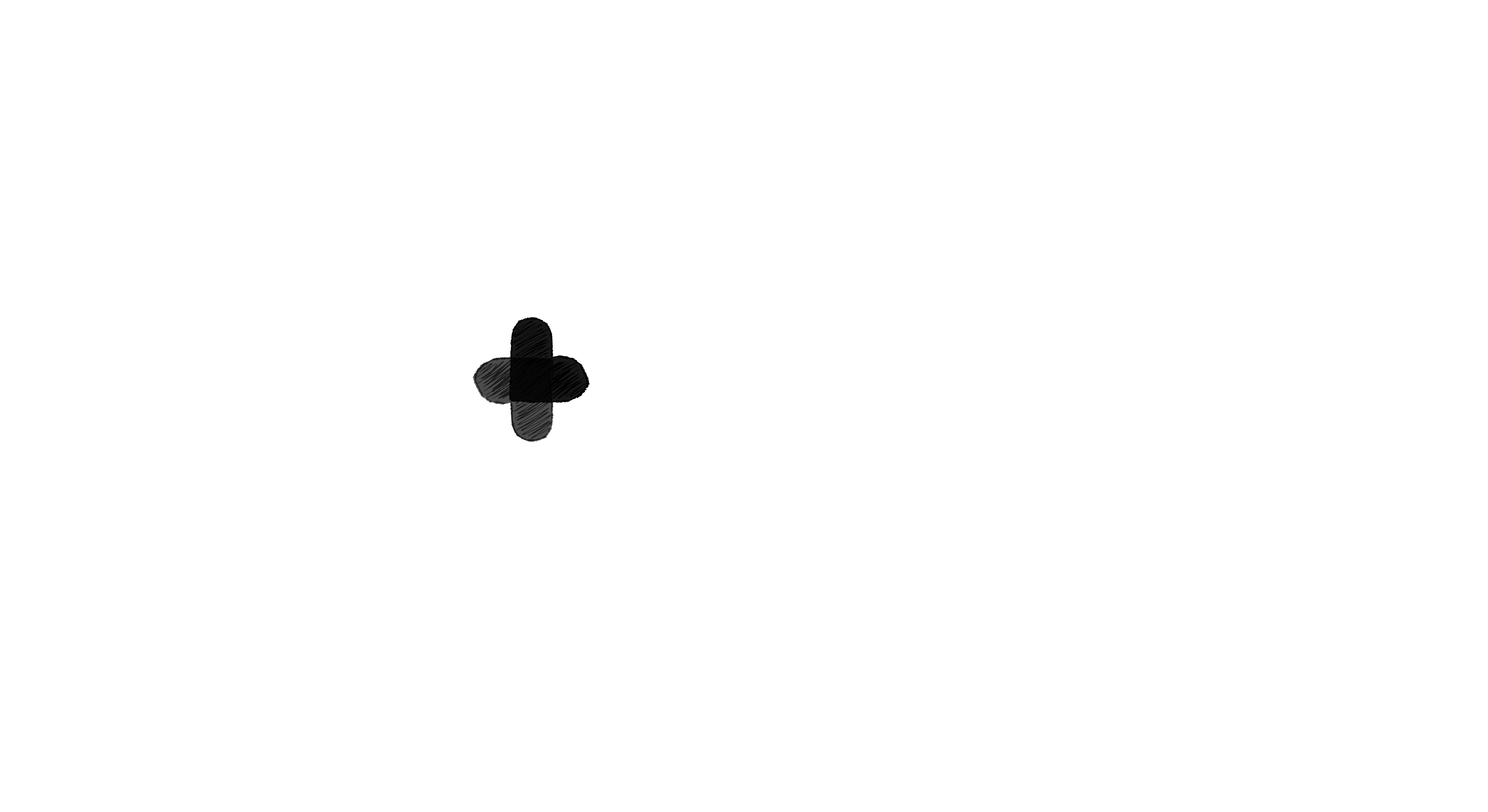 People's Health Movement
