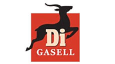 Solver wins Gasell award