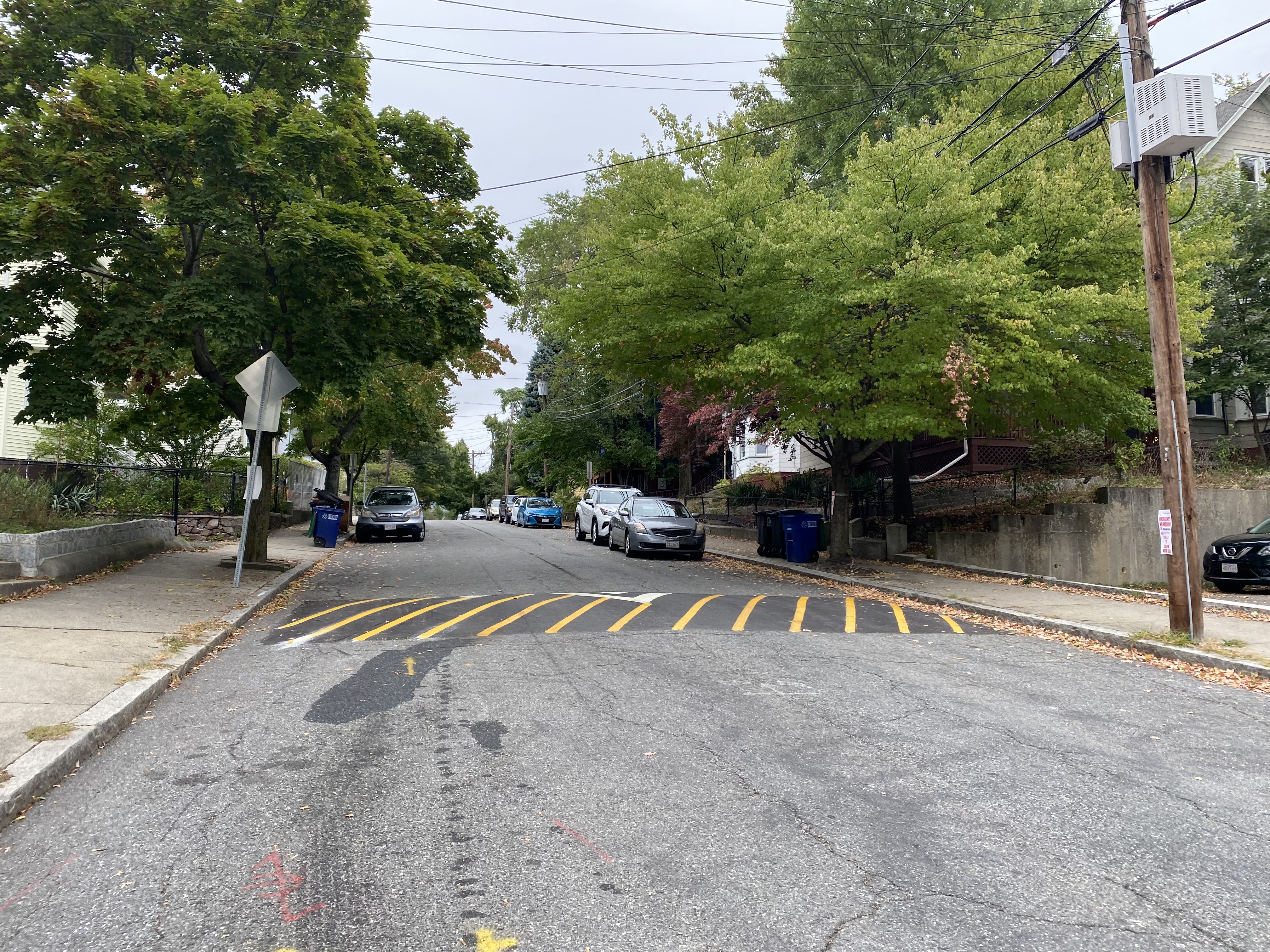 Bright yellow paint installed diagonally across the length of a speed hump, calling attention to the traffic calming feature.