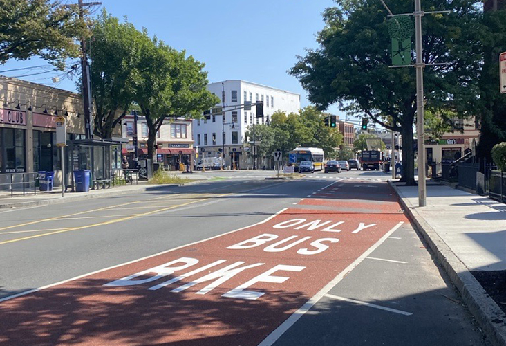 A red bus and bike lane marked “BUS BIKE ONLY” runs along a tree-lined city street with shops, a bus stop, and traffic ahead.