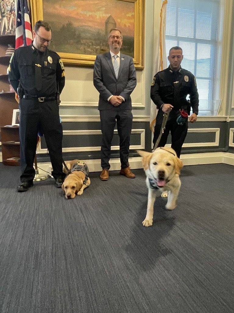 K9 unit dogs Missy and Fluff visit Mayor Wilson’s office.