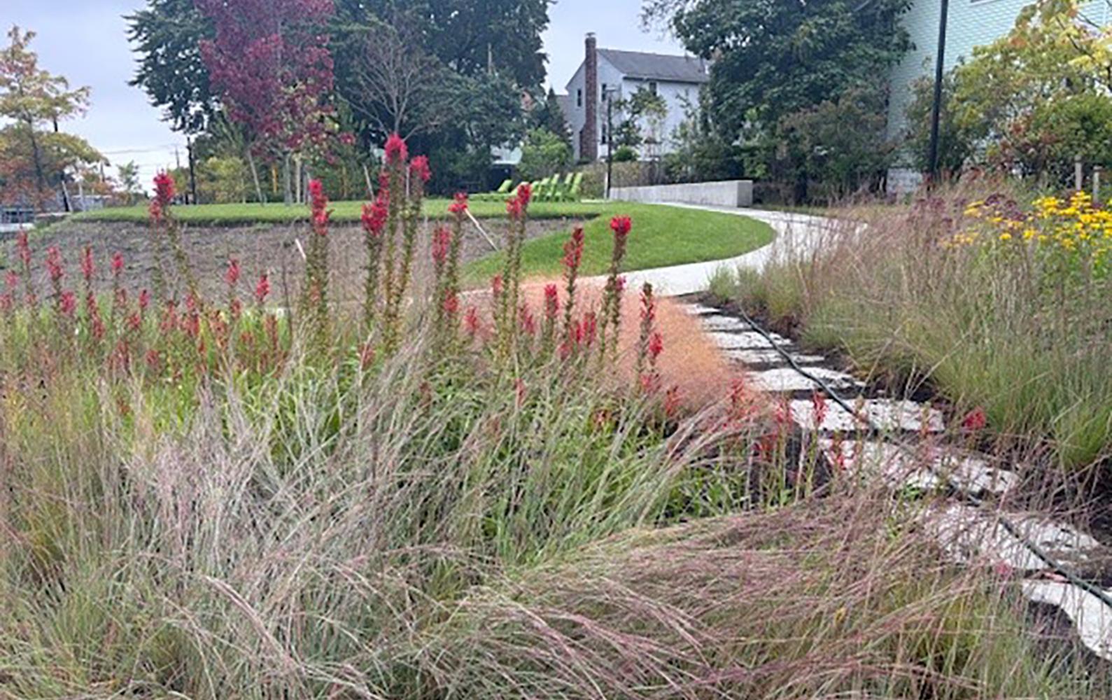 Junction Park in Somerville 