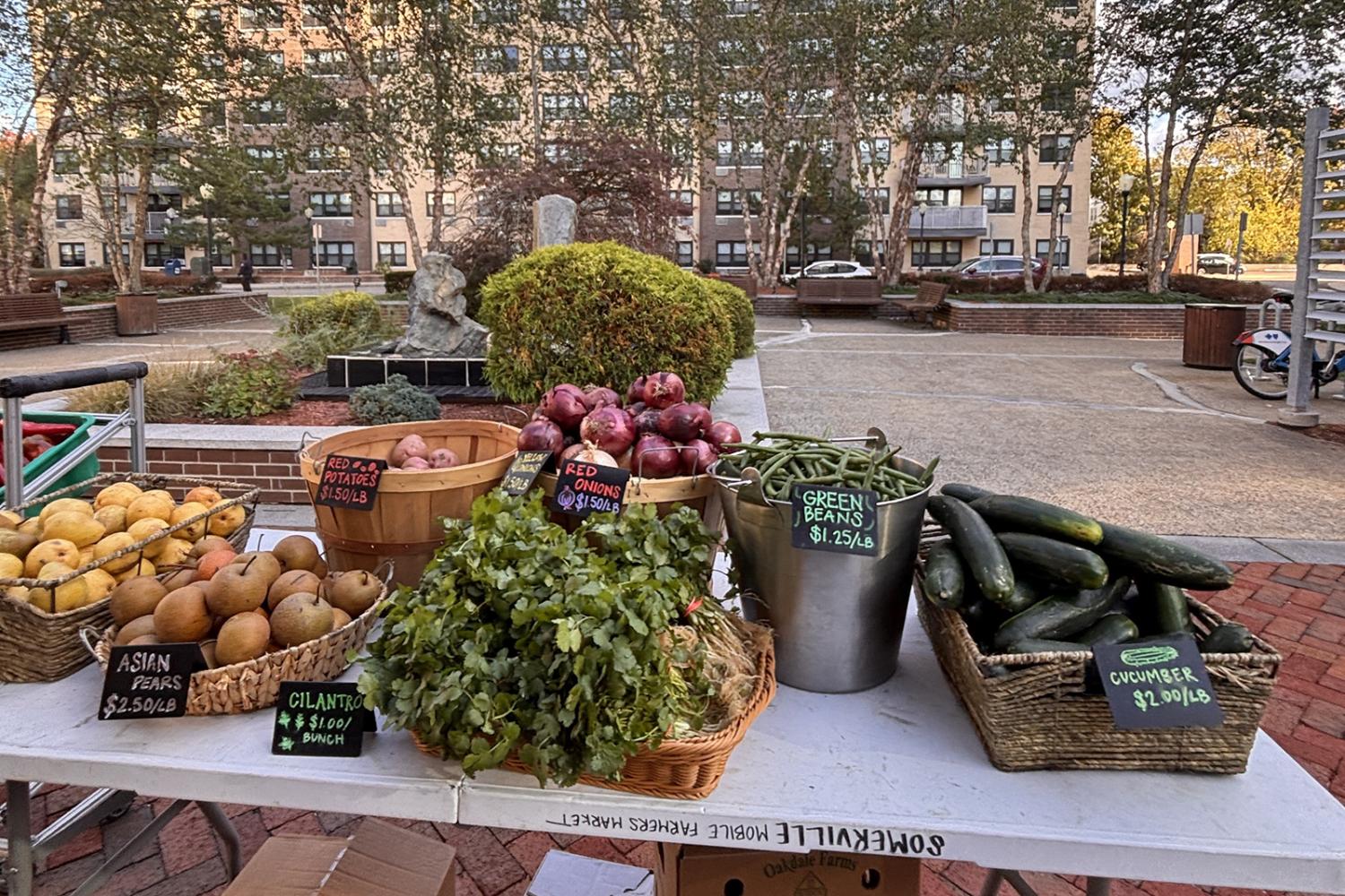 Vegetables on a table at the Somerville mobile farmers' market. 