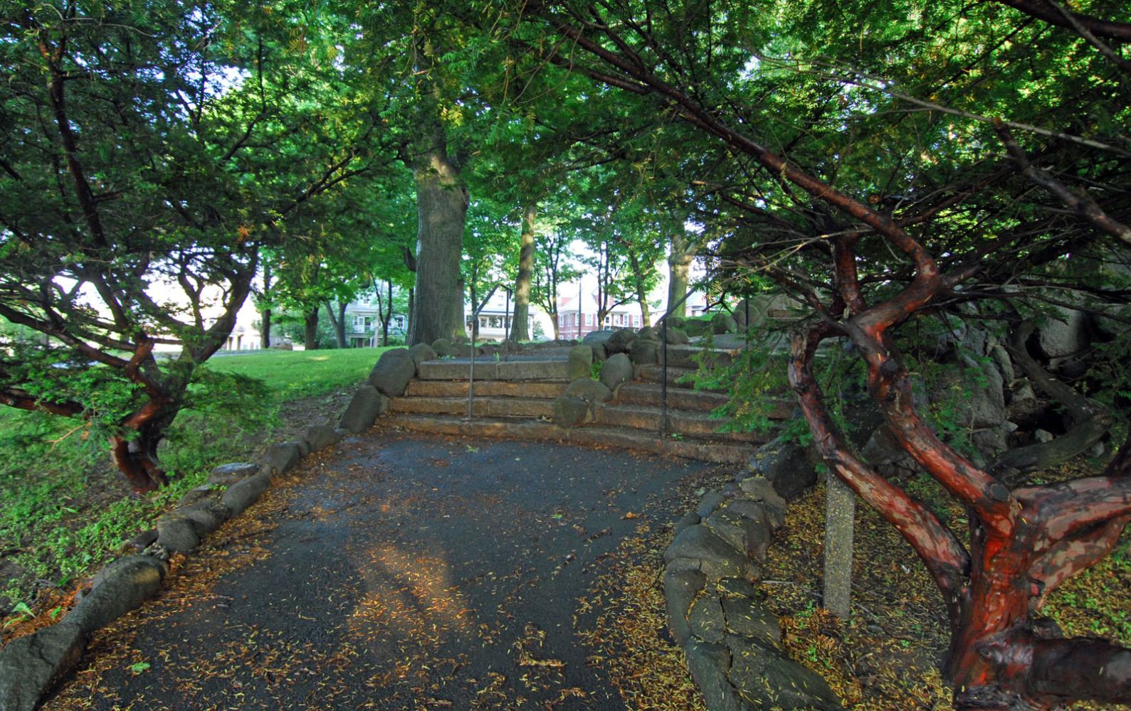 Stone steps between lush trees at Somerville's Nathan Tufts Park