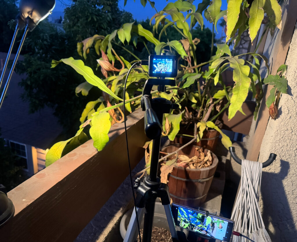 Time Lapse Bloom Setup