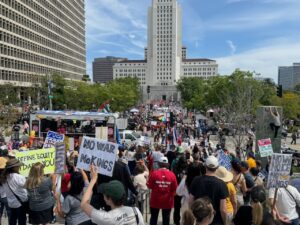 No Kings 3 - City Hall Crowds