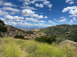 Rocky Peak - wildflowers