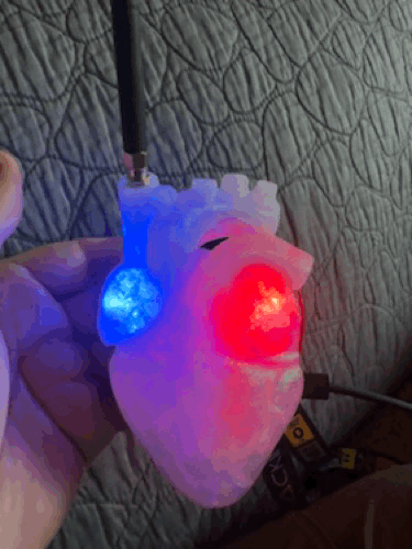 DC34 biohacking village badge