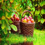 ছাদিক তাল