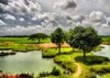 এ.কে ফখরুল ইসলাম