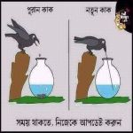 মুহা মামুনুর রশীদ সনেট