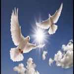 সুলাইমান হোসেন