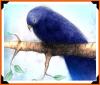 গোধূলীর আলো