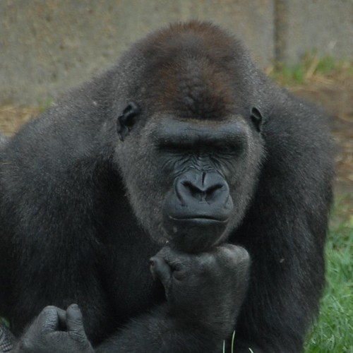 ডঃ আইজউদ্দিন