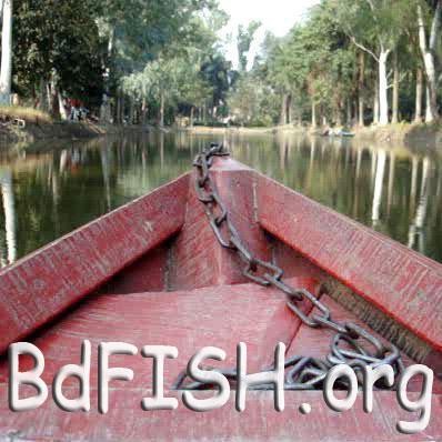 এ.বি.এম. মহসিন