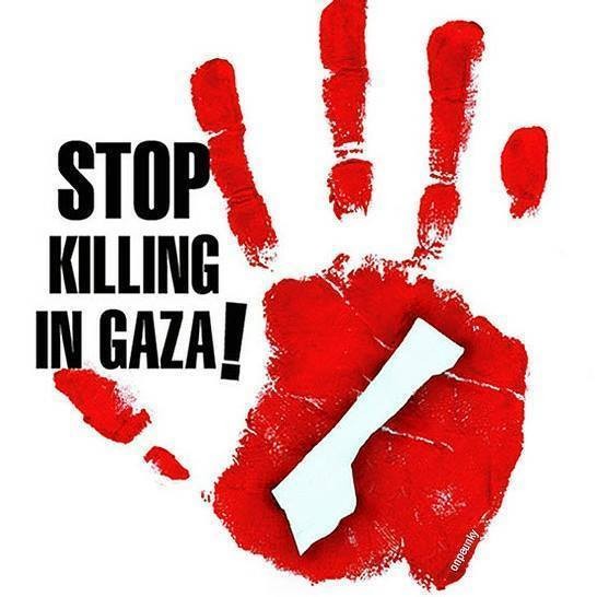 একিউমেন০৮