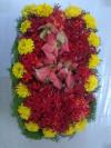 সবুজ নীলিমা