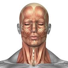 আল-আমীনূর