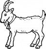 অলৌকীক