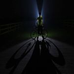 বিভ্রান্ত পথিক ২০১০