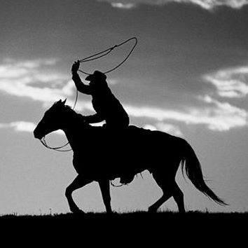 কালো ঘোড়ার আরোহী