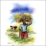 বাব উল হাবীব