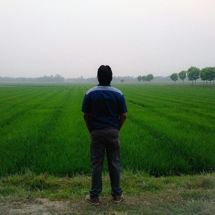 বিজয় মজুমদার