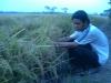ব্লাক স্টার