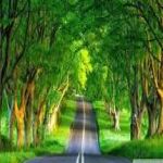 গারোপাহাড়