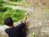 মিথ্যা প্রলোভন